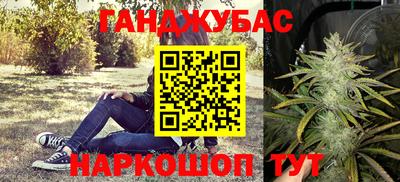 эйфоретик Дубна