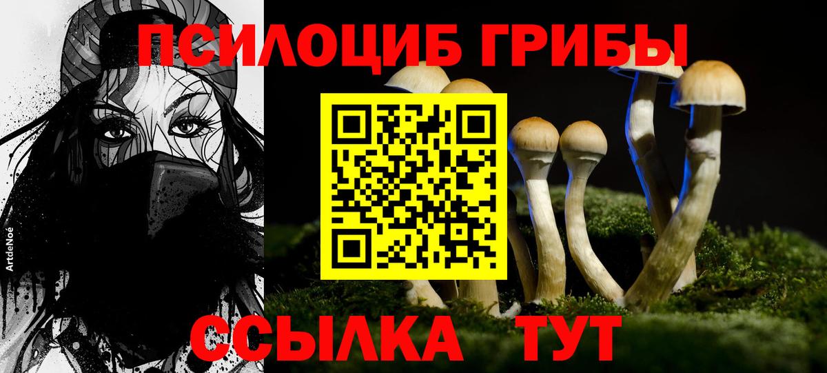Нарткала  продажа наркотиков  Вход с VPN  Галлюциногенные грибы прущие грибы 